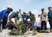 Pantai Batu Tunggal Ditanami Pohon Ketapang Kencana