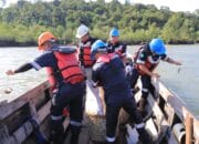 Perairan Kundur Ditebar 400 Kepiting Bakau