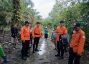 Ingin Ikut Ayah, Pria Dusun Ibul Hilang di Kebun Sawit