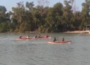 PT Timah dan HNSI Bangka Tanam Mangrove dan Gelar Lomba Dayung