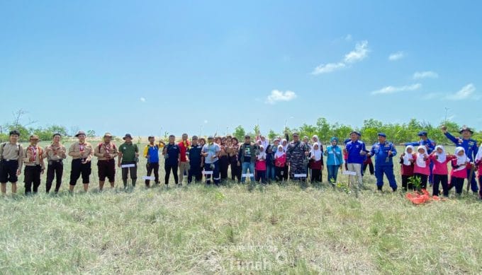 Kolaborasi dengan HNSI Bangka, PT Timah Tanam 4000 Mangrove