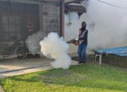DBD Meresahkan, PT Timah Fogging Area Perkantoran hingga Perumahan Karyawan