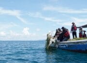 PT Timah Tenggelamkan 15 Coral Garden di Pulau Putri