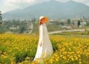 Pesona Tepi Gunung Nature Park, Tempat Wisata Baru di Bandung yang Estetik dengan Tumbuhan Bunga Cantik Berlatar Pegunungan