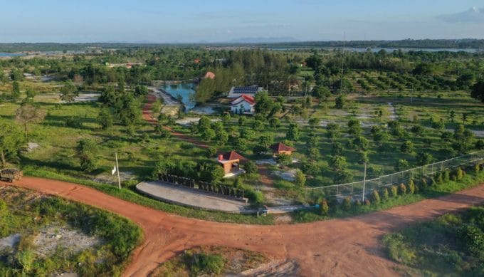 Puluhan Hektar Lahan Tambang Kembali Dihijaukan