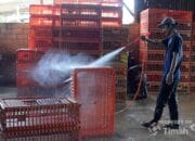 Dapat Bantuan Mesin Steam Air, Kebersihan Usaha Ayam Potong Afriani Kian Terjaga