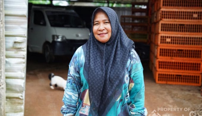 Bangkit dari Keterpurukan, Kini Afriani Mampu Jual Ayam Potong Hingga 3.000 Ekor