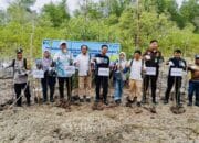 PT Timah Tanami 5 Ribu Mangrove di Pantai Kobel
